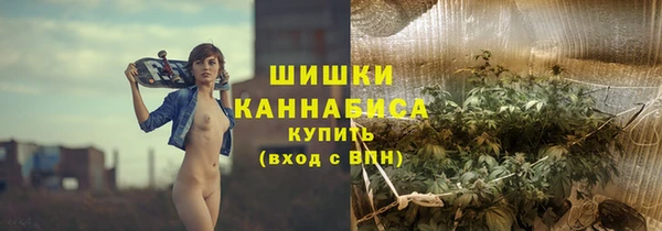 дмт Заводоуковск