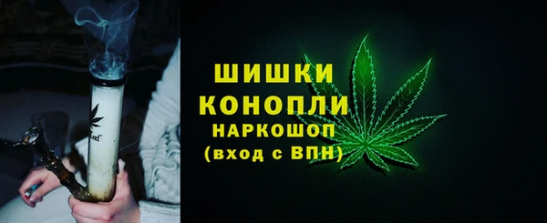 дмт Заводоуковск