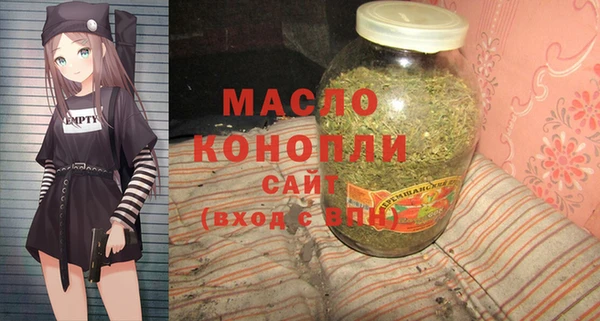 дмт Заводоуковск