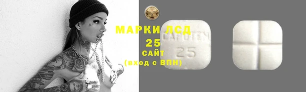 дмт Заводоуковск