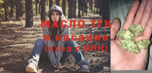 дмт Заводоуковск