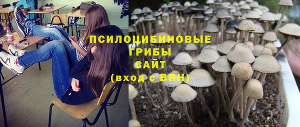 а пвп мука Заволжск