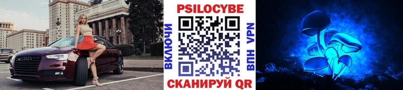 цены наркотик  Улан-Удэ  Галлюциногенные грибы Psilocybine cubensis 