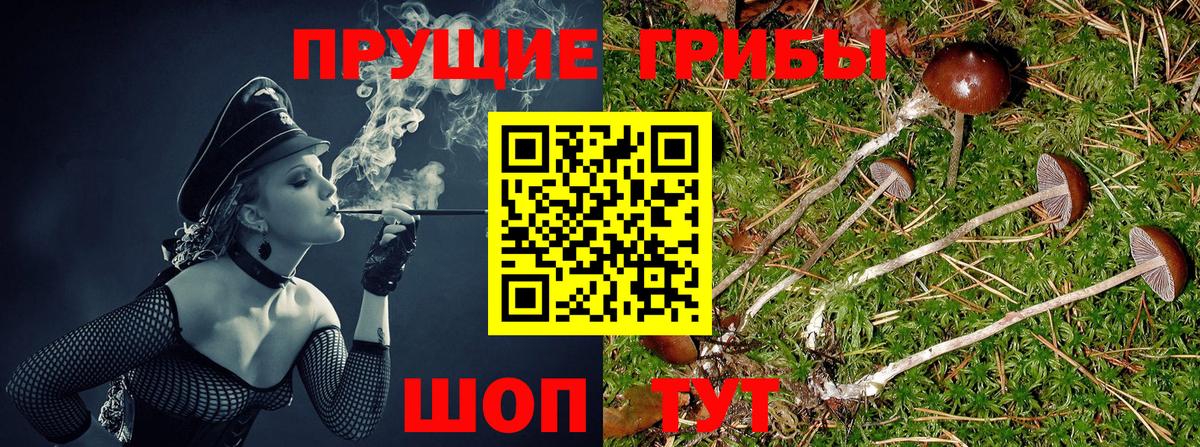 Галлюциногенные грибы Psilocybine cubensis  Вход с VPN  Улан-Удэ  Псилоцибиновые грибы ЛСД 