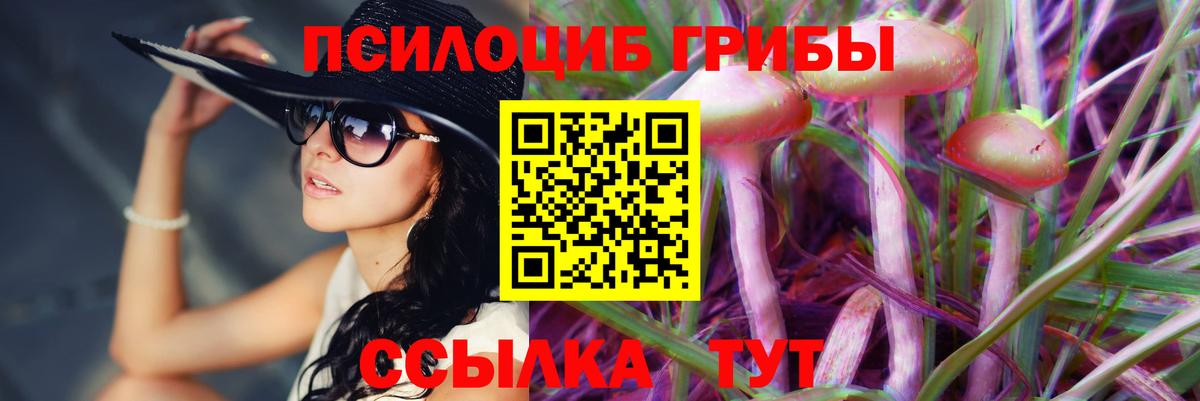 Псилоцибиновые грибы Psilocybine cubensis Улан-Удэ